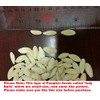 ROASTED PUMPKIN SEEDS IN SHELL,SEA SALTED (1 LB)