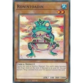 Ronintoadin - SDFC-EN023 - Common - 1st Edition