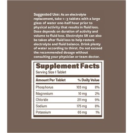 Endurance Products Electrolyte SR - Sustained Release Electrolyte for Optimal Hydration - 60 Tablets - Zero Sugar & Calories, Non-GMO, Vegan, Gluten Free - Muscle Recovery, Energy