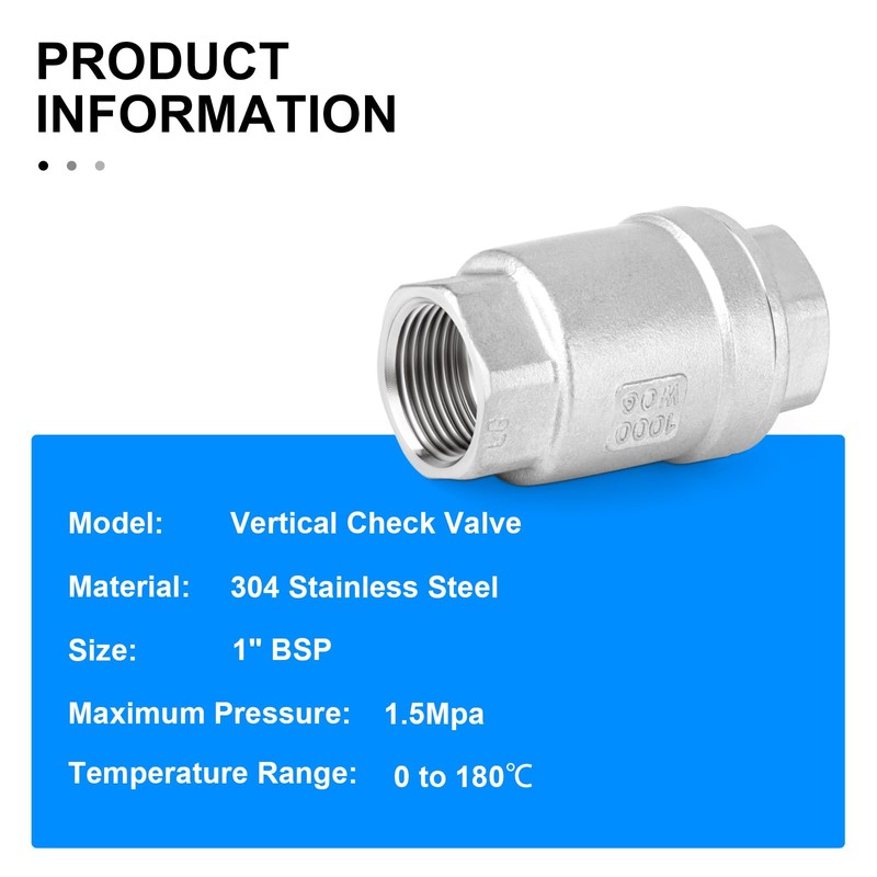 ERGAOBOY 1" BSP Female Thread x Female Thread, 304 Cast
