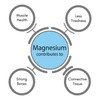 SynBio Premium - Ultra Magnesium Citrate | 60 Vegan Capsules