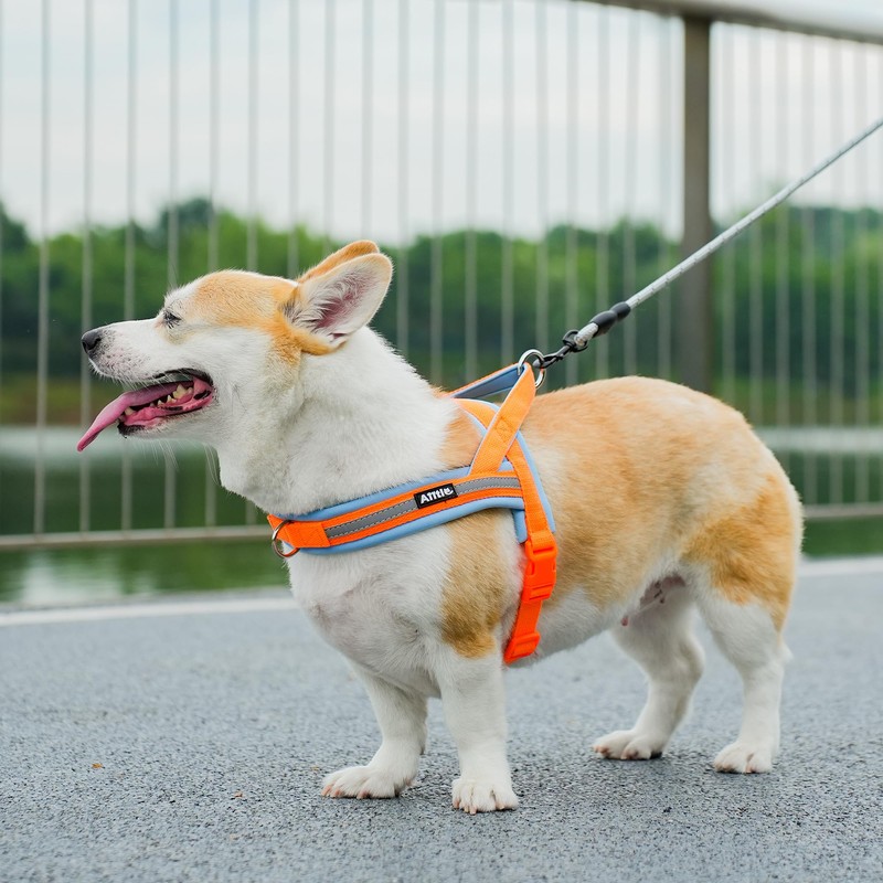 AIITLE No Pull Small Dog Harness, Pet Soft Vest Harnesses