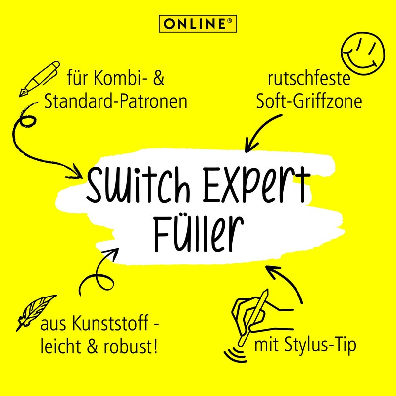 Online Switch Expert