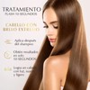 Marie d'Argan Tratamiento Profesional Flash 10 Segundos Cabello ultra luminoso,