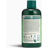 The Body Shop Tónico De Aloe Vera Para Piel Sensible,