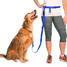 The Buddy System Hands Free Dog Leash, Adjustable Leash for Running, Jogging, Training and Service Dogs, Great for Small, Medium and Large Dogs, Made in USA (Royal Blue, Large Belt (27"- 50" Waist))