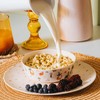 Nook Theory 4 Pack Bamboo Bowls - Alternative to Plastic