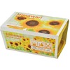 Seishin Pottery GD-93201 Enjoy Planter, Mini Sunflower Flower