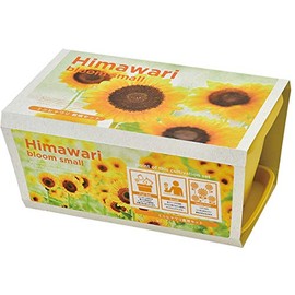 Seishin Pottery GD-93201 Enjoy Planter, Mini Sunflower Flower