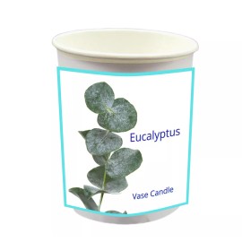 Vase Candle Eucalyptus Refill Candle - Smells like Eucalyptus | 50 Hour Burn Time