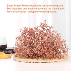 Babys Breath Dried Flowers Bouquet-17'' 2500+ Ivory Dry Flowers, Natural Gypsophila Branches for Wedding, Home Table Vase Decor, DIY Wreath Floral, Fall Thanksgiving Autumn Decoration (Brown, 3oz)