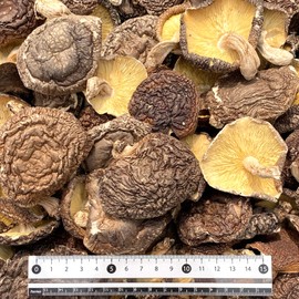 (Commercial Use) Sugimoto Shoten Kyushu Shiitake Mushroom Thin Leaves Middle Leaf 10.6 oz (300 g)