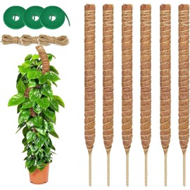 KAERDIYA Tutor para Plantas Trepadoras, 6 Piezas con Cuerda de Yute y Discos Verdes, Soporte de Fibra de Coco Natural