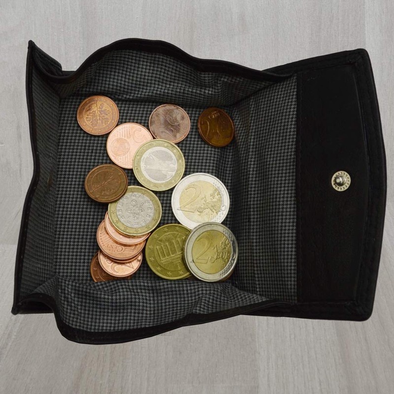 flevado Maxi Coin Compartment Leather Wallet Viennese Box Wallet with