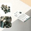 VIE Tumbled Crystals, 250g Pack, Moss Agate