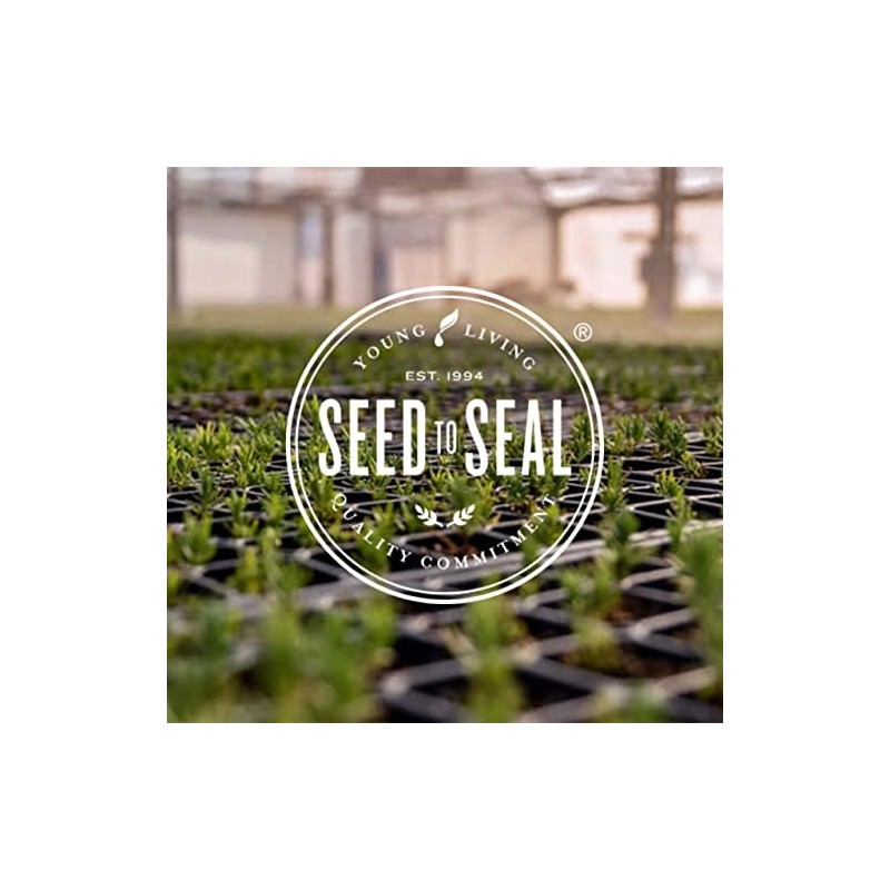 Young Living Thieves Roll-On - 10 ml - Pre-Diluted Essential