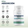 NAIMA Berberine HCL 97%, 100 Cápsulas | Suplemento Alimenticio 100%