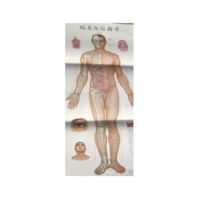 Set of 3 Human Acupuncture Points Charts, 20" X 38"