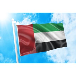 DMSE United Arab Emirates UAE National Dubai Flag 2x3 Ft Foot 100% Polyester 100D Flag UV Resistant (2' X 3' Foot)