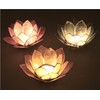 GURU SHOP Lotus Tea Light Shell 11 x 4 cm