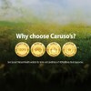 Caruso's Natural Health Vitamin K2 plus Ubiquinol 30 Capsules