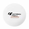 Cornilleau Outdoor Ultradurable Plastic Table Tennis Balls (Box of 6)