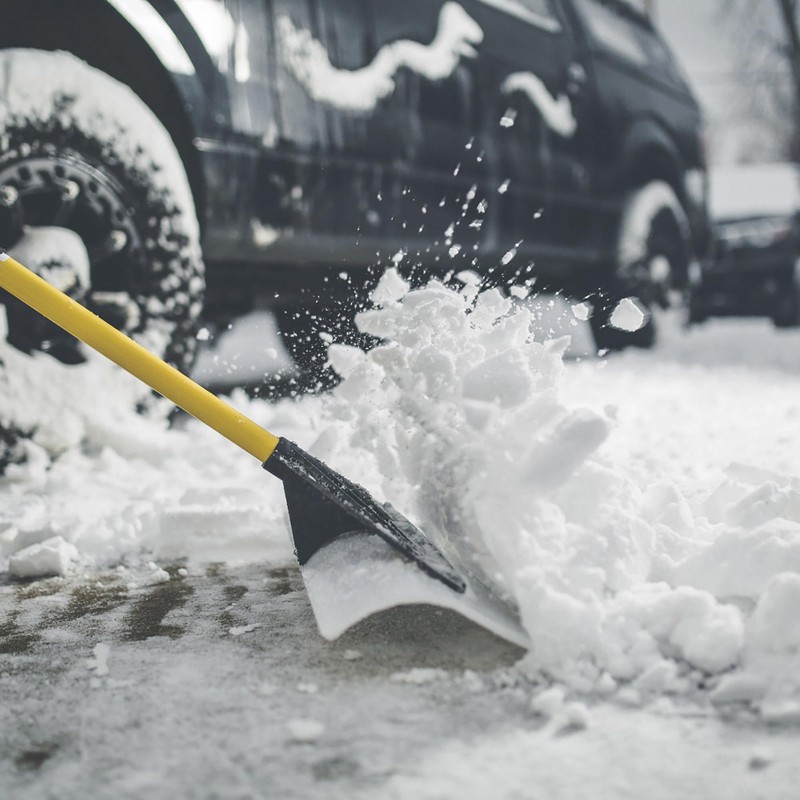 The Snowplow The Original Snow Pusher (24 Inches)