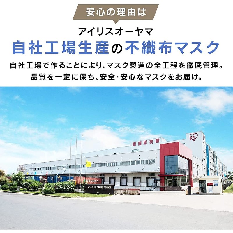 Iris Ohyama APN-60LW Pleated Masks, Non-Woven Fabric, Color Mask, Quantity: