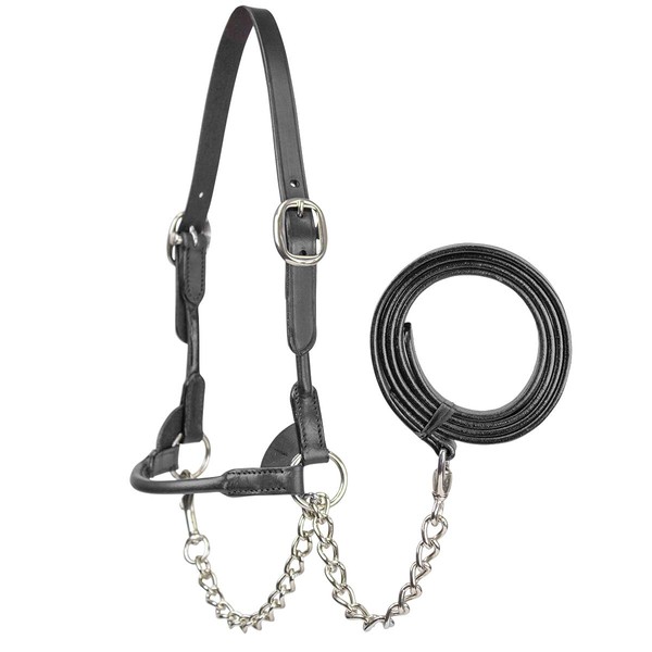 Derby Originals New and Improved Premium Round Rolled Leather Cattle
