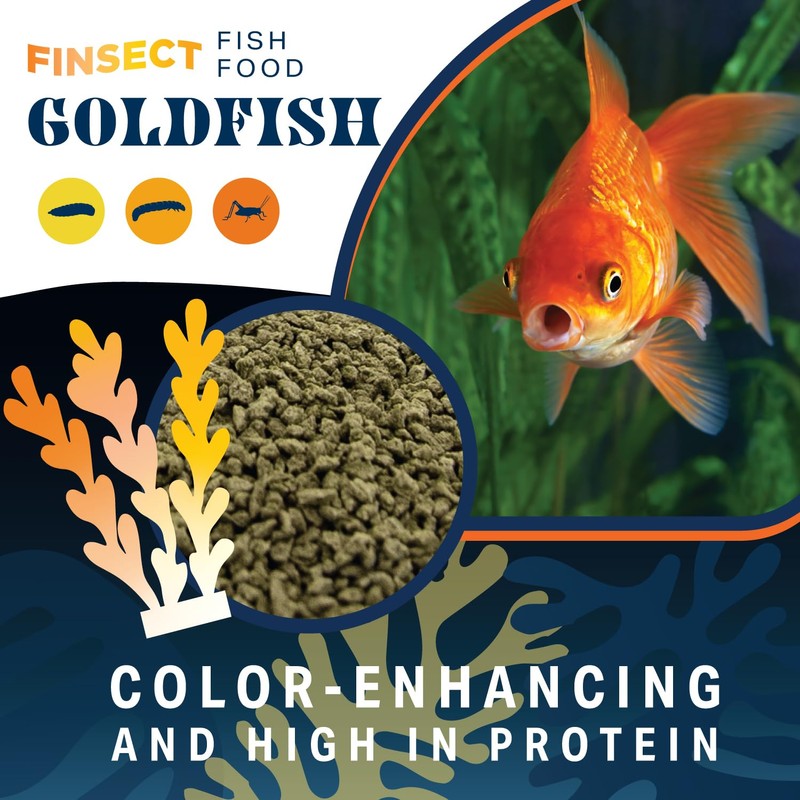 Finsect Gold Fish, Fish Food