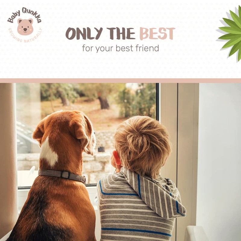 Male Dog Belly Band: Handmade Adjustable, Reusable, Hook&Loop Cloth Pad