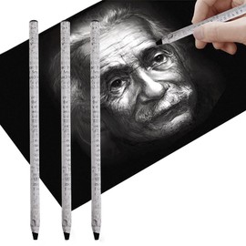 Charcoal Pencils Set of 12 Drawing Charcoal Brushes Soft Charcoal Pencil Sketching Drawing Material Charcoal Charcoal Easy to Draw Delicate Expressions Portrait Caricature Sketching Pencils Beginners Artists Paints