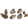RealFyre Peterson Gas Logs Hdk-1 Decor Kit