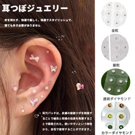 Ear Urn Jewelry, 200 Pieces, Ear Point Jewelry, Trap Point Seal, Urn Seal, Transparent, Titanium, Tracupoint Jewelry Seal (200, Silver Grain)