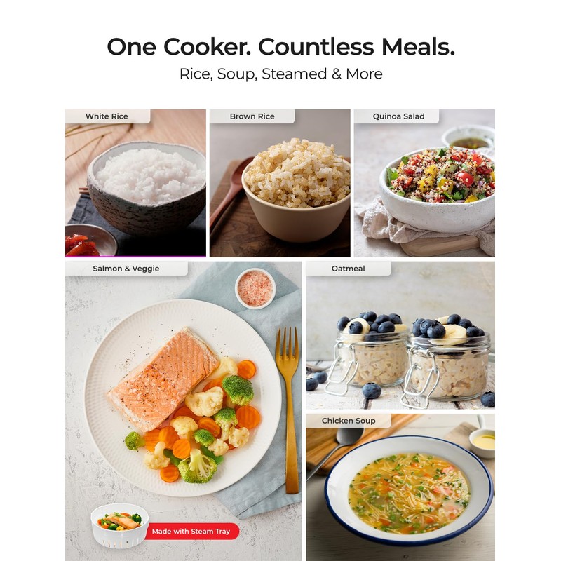 CUCKOO CR-1095 10-Cup (Uncooked) / 20-Cup (Cooked) Basic Rice Cooker