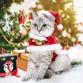 BillionChains Cat Christmas Costume with Santa Hat and Cloak Cat Xmas Outfit for Kitten/Puppies/Home Christmas Decoration