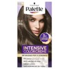 Palette Tinte para cabello Color Creme Rubio Oscuro 6-0, 50