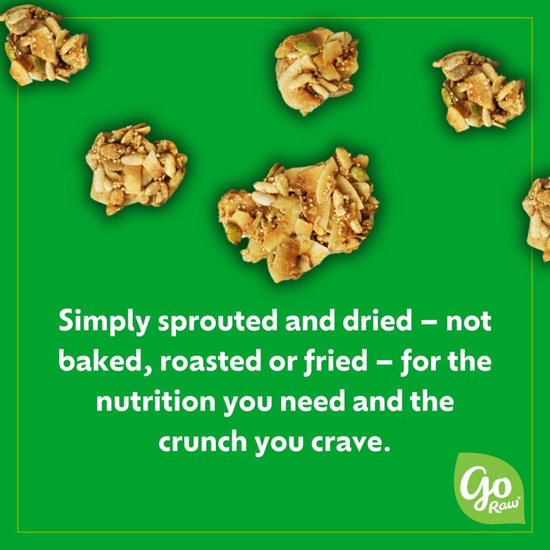 Go Raw Sweet & Salty Snacking Granola, 8oz Pouch