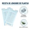 Hilos de Colágeno LUJITO para Rejuvenecer e Hidratar Piel, 60