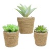 Ebros Gift Set Of 3 Realistic Artificial Botanica Plant Succulents
