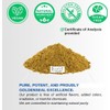 Goldenseal Root Powder - 3.5 oz Pure Natural Goldenseal Root