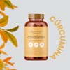 Curcumina Suplemento Alimenticio Pimienta Negra Curcumina Ingredientes Naturales Vegano 120