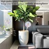 E-feilai - Large Glass Watering Globes for Gift, Self-Watering Bulbs