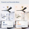 BvenuBigLite Modern Ceiling Fan with Remote: Black and Gold Ceiling