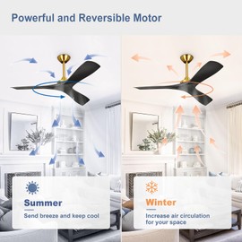 BvenuBigLite Modern Ceiling Fan with Remote: Black and Gold Ceiling Fans 3 Blades - 52 Inch Ceiling Fan No Light for Covered Outdoor Living Room Bedroom
