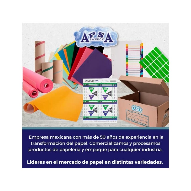 APSA Hojas de Papel Opalina Tamaño Carta Color Blanco 120gr