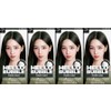 Mise-en-scène NEW COLOR Mise-en-scène All New Hello Bubble 5A Dark Ash Gray, 4 pieces / NEW COLOR 미쟝센 올뉴 헬로버블 5A 다크애쉬 그레이, 4개
