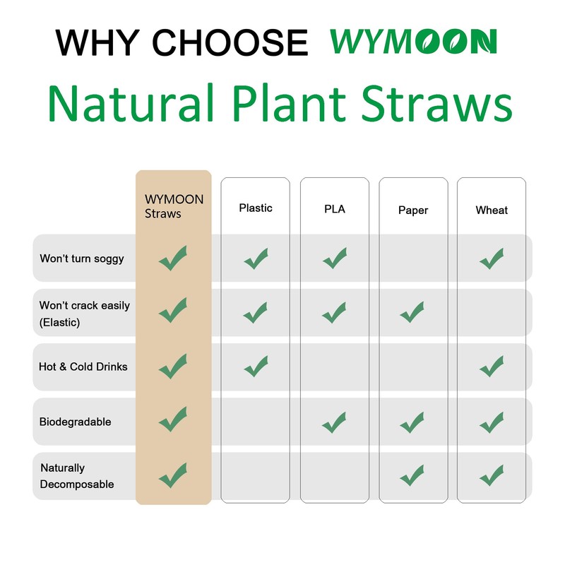 WYMOON Biodegradable Straws made of Natural Plant | 600 PCS