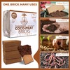CocoGrown Compressed Coco Coir Bricks – 100% Organic, 650g x