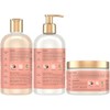 Shea Moisture Coconut and Hibiscus Combination Pack – 13 oz.
